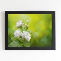 Quadro Jasmim-árabe Flor Branca Moldura Preta 60x40cm