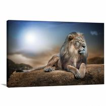 Quadro Leão Deitado Art decorativo Quadro Leão Deitado Art decorativo