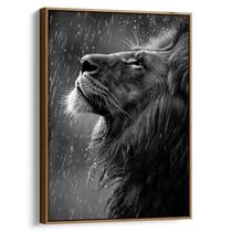 Quadro Leão Majestoso Sobre Chuva de Prata