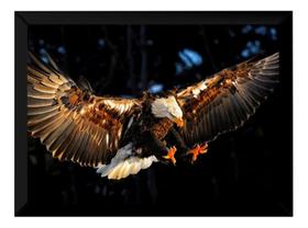 Quadro Linda Águia Asas Foto Poster Moldurado