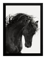 Quadro Linda Foto Cavalo Animal Equino Quadro Linda Foto Cavalo Animal Equino