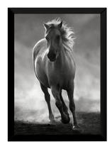Quadro Linda Foto Cavalo Equino Animal Raças