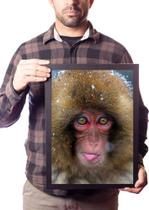 Quadro Macaco Japonês Animal Selvagem Decoração Sala Quadro Macaco Japonês Animal Selvagem Decoração Sala