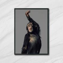 Quadro Macaco Performance 33x24cm - com vidro