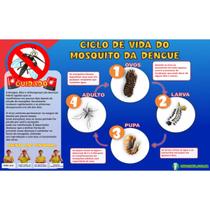 Quadro Magnético Ciclo da Dengue. Quadro Magnético Ciclo da Dengue.