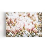 Quadro Magnólia Yulan Rosa Flor Chinesa Canvas 60X40Cm