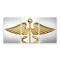 Quadro Medicina Contabilidade Caduceu Dourado Quadro Medicina Contabilidade Caduceu Dourado