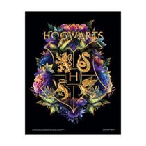 Quadro Metal Slim 26X20Cm Hogwarts Floral