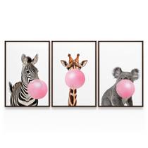 Quadro Moderno Kit Girafa Zebra e Coala Mascando Chiclete Bubble Gum Com Moldura - Bimper