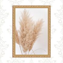Quadro Moldura Dourada Capim Dos Pampas 24x18cm