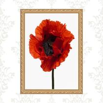 Quadro Moldura Dourada Flor Avermelhada 45X34Cm