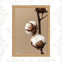 Quadro Moldura Dourada Flor De Algodão 24x18cm Quadro Moldura Dourada Flor De Algodão 24x18cm