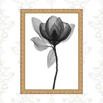 Quadro Moldura Dourada Flor Minimalista 45X34Cm