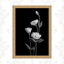 Quadro Moldura Dourada Flores Brancas Fundo Preto 45x34cm