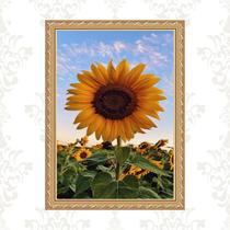Quadro Moldura Dourada Girassol 45x34cm