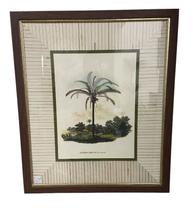 Quadro Moldura Madeira gravura coqueiro sala varanda kit c/2
