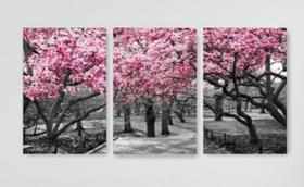 Quadro Mosaico 3 Peças Árvore/cerejeira Rosa/paisagem