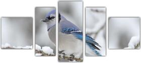 Quadro Mosaico 5 Partes Para Sala Passarinho Passaro Aves