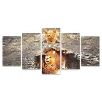 Quadro Mosaico Decorativo Gatinho Gato Leão Poça De Água Reflexo