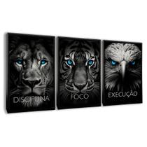 Quadro Motivacional Decorativo de Parede Leão Águia Tigre 3 peças