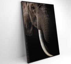 Quadro Natureza Elefante Africano