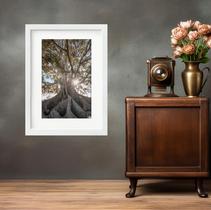Quadro Natureza Raízes Árvore - 60x48cm