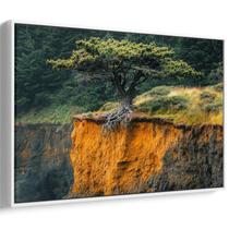 Quadro Natureza Resiliente em Penhasco Abrupto e Solitário