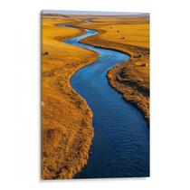 Quadro Natureza Serpenteando por Prados Dourados Eternos