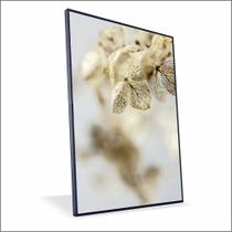 Quadro Orquidea Nude Canvas Sem Vidro Quadro Orquidea Nude Canvas Sem Vidro