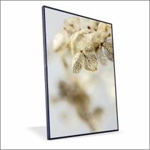 Quadro Orquidea Nude Canvas Sem Vidro