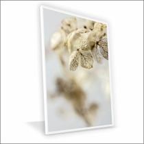 Quadro Orquidea Nude Canvas Sem Vidro