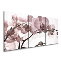 Quadro Orquidea Rose Decorativo Sala Kit Quarto Nicho Flores