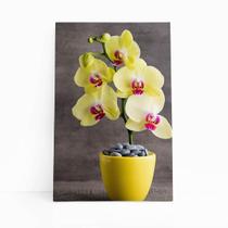 Quadro Orquídeas Amarelas Flor Em Vaso Canvas 60X40Cm - Plimshop