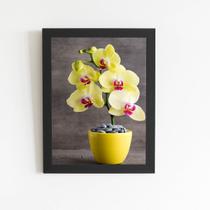 Quadro Orquídeas Amarelas Flor em Vaso Moldura Preta 60x40cm Quadro Orquídeas Amarelas Flor em Vaso Moldura Preta 60x40cm