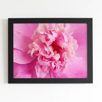 Quadro Paeonia Lactiflora Flor Rosa Moldura Preta 60x40cm Quadro Paeonia Lactiflora Flor Rosa Moldura Preta 60x40cm