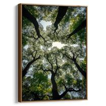 Quadro Paisagem de Copas Verdes no Céu Claro