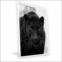 Quadro Pantera Negra Canvas Com Vidro