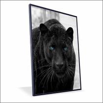 Quadro Pantera Negra Canvas Com Vidro