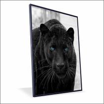 Quadro Pantera Negra Vinil Com Vidro