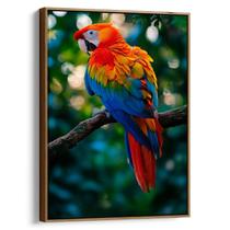 Quadro Papagaio na Natureza