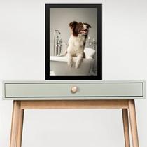 Quadro Para Banheiro Border Collie 45X34Cm - Com Vidro