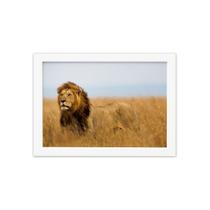Quadro para Sala Foto Safari Leão Moldura Branca 33x43cm