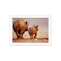 Quadro para Sala Foto Safari Rinoceronte Moldura Branca 33x43cm Quadro para Sala Foto Safari Rinoceronte Moldura Branca 33x43cm