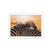 Quadro para Sala Foto Safari Zebra Moldura Branca 22x32cm