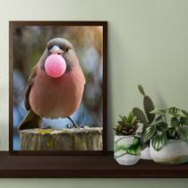 Quadro Passarinho Bubble Gum 33x24cm