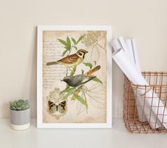 Quadro Pássaros Vintage Botânica 45x34cm - Madeira Branca