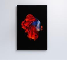 Quadro peixe beta azul e vermelho