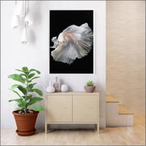 Quadro Peixe Beta Branco Quadro Peixe Beta Branco