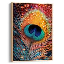 Quadro Pena de Pavão Com Gotas de Orvalho Quadro Pena de Pavão Com Gotas de Orvalho