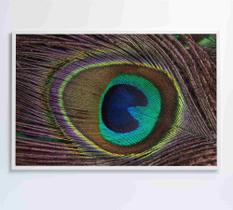 Quadro penas de pavão Quadro penas de pavão